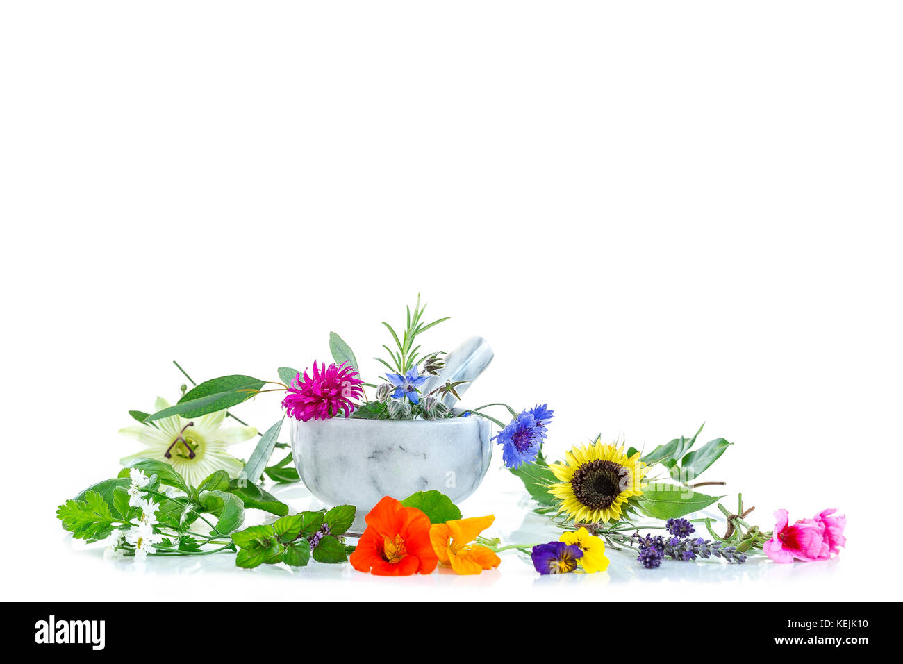Weißer Mörtel mit Kräutern und frischen Heilpflanzen und Vorbereitung von Heilpflanzen für phytotherapyand Gesundheit Schönheit Stockfoto