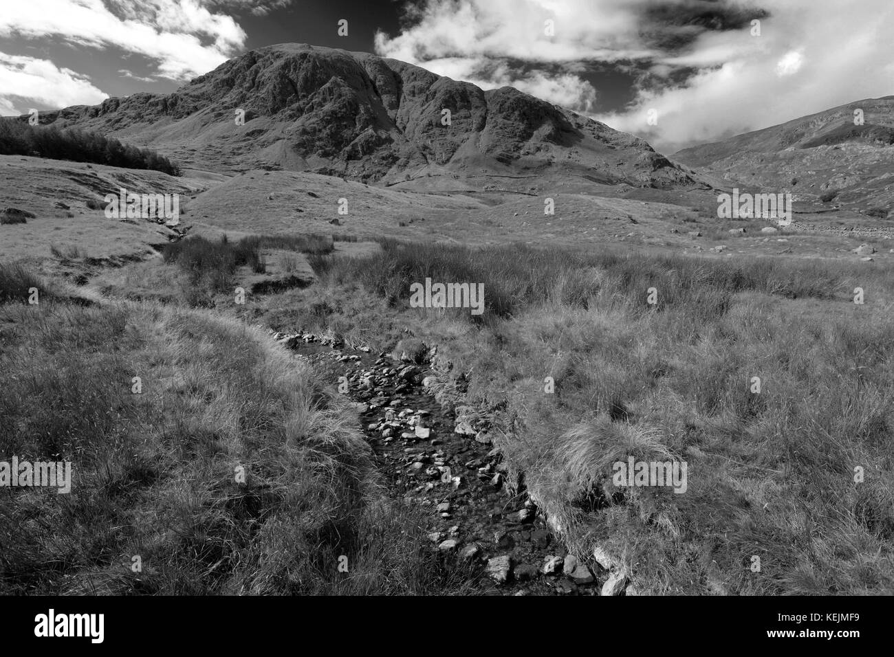 Sommer Blick auf Harter fiel, Mardale Valley, Lake District National Park, Grafschaft Cumbria, England, UK. Harter fiel ist einer der 214 Wainwri Stockfoto