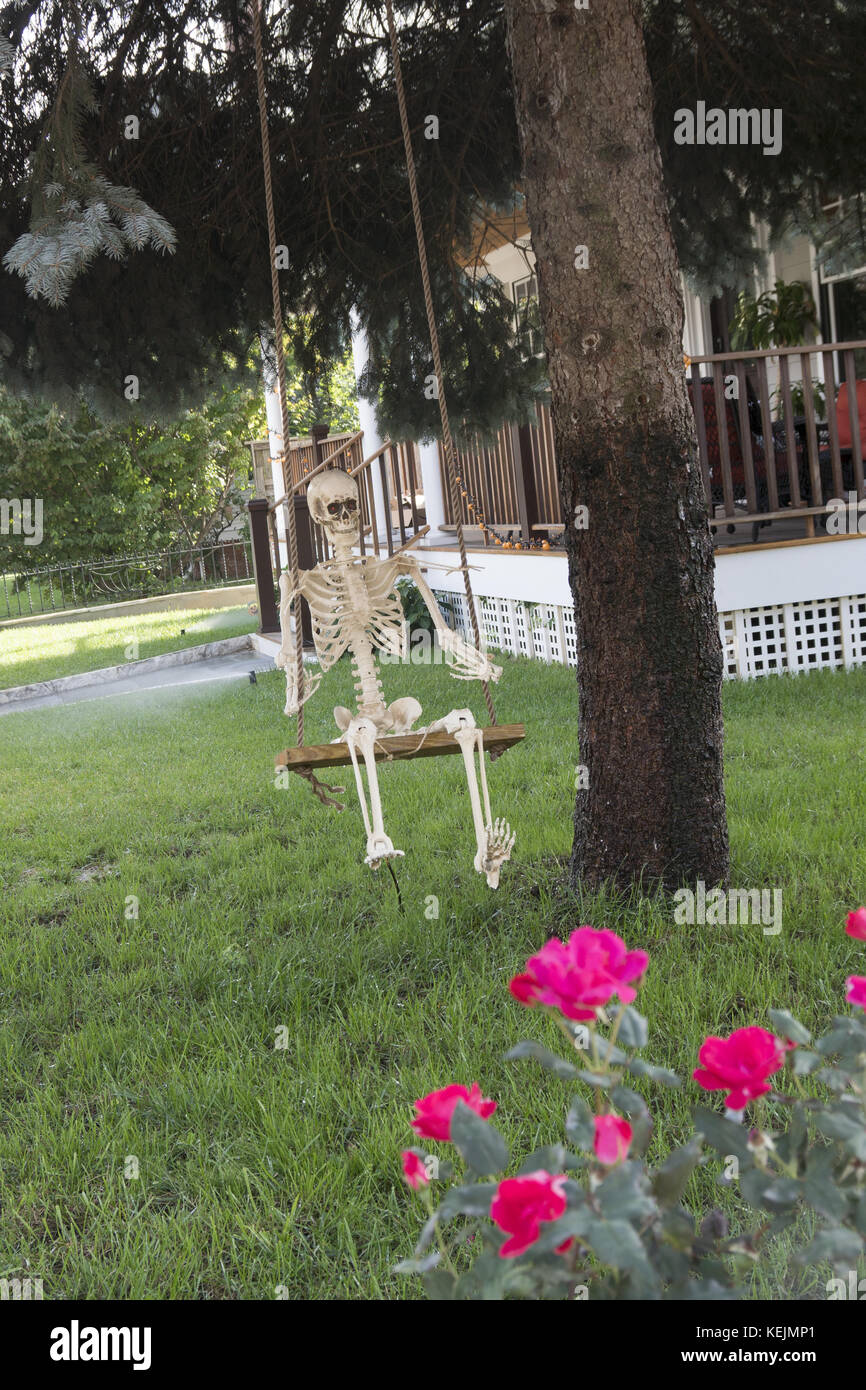 Skelett auf einer Schaukel in einem Vorgarten während der Halloween-Seson in Brooklyn, NY. Stockfoto