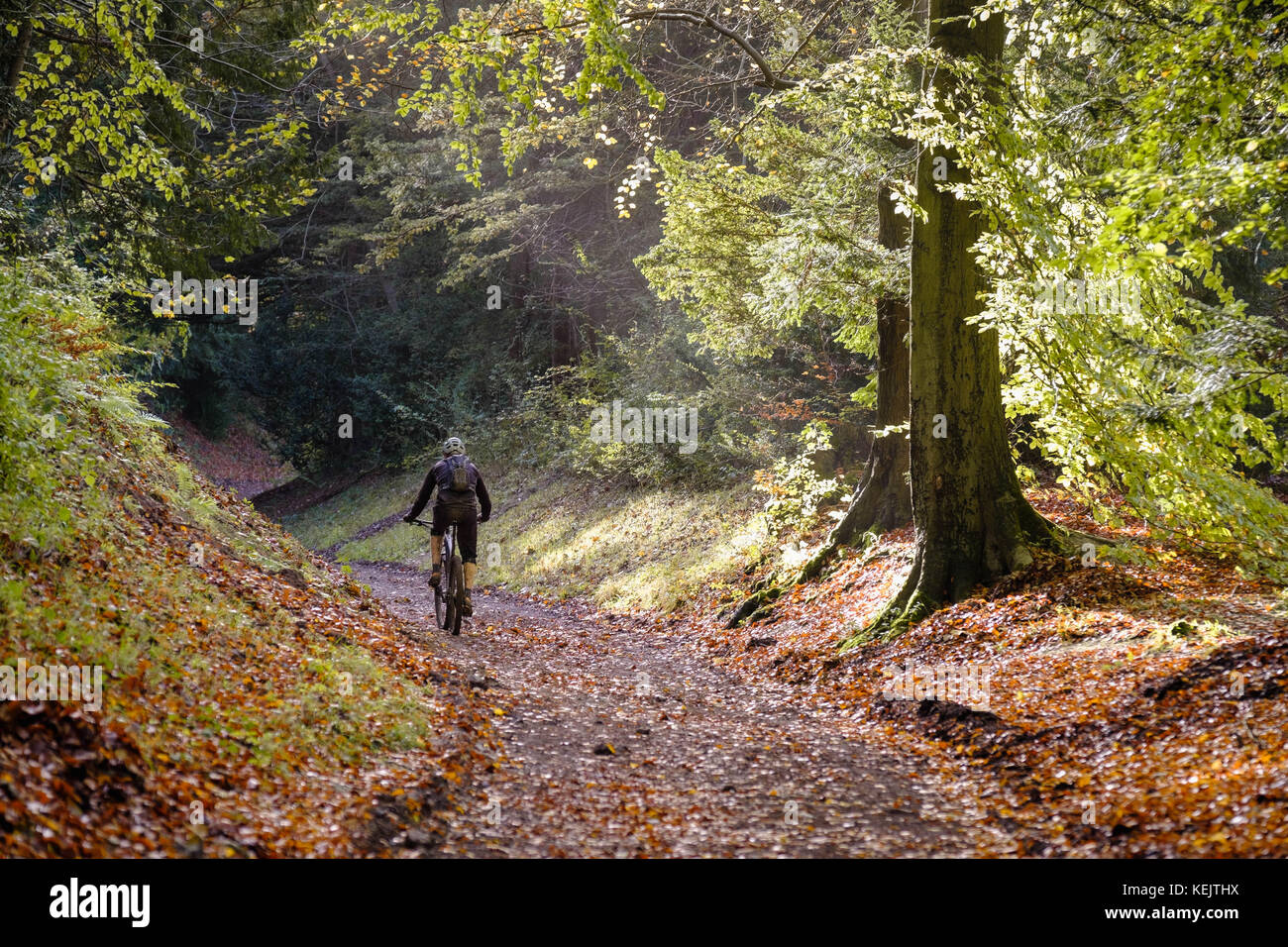Farbe Bild einer schlammigen Mountainbiker bis Radfahren einen Pfad auf einem sonnigen Herbst morgen. Stockfoto