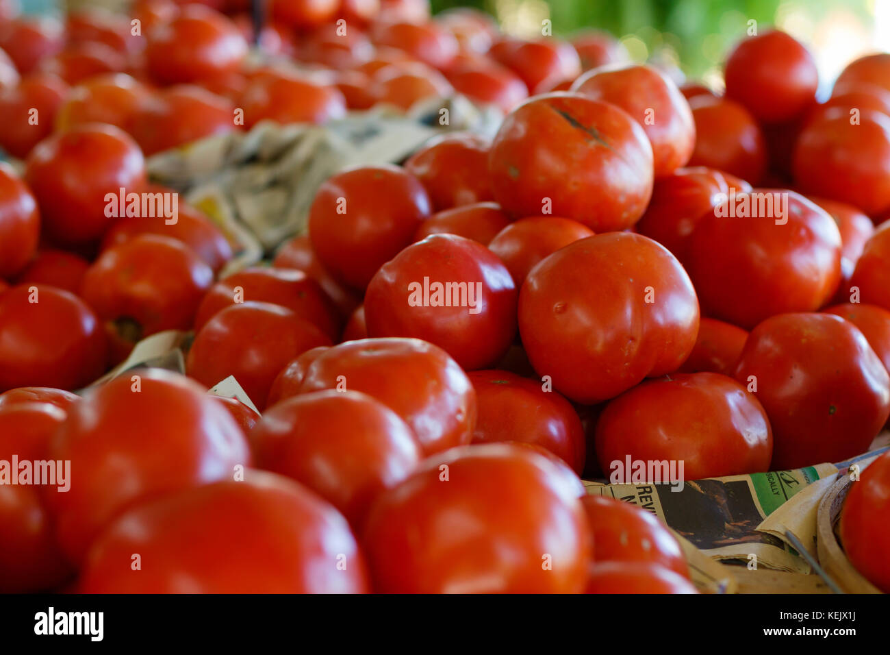 Tomaten auf einen fertigen Stand Stockfoto