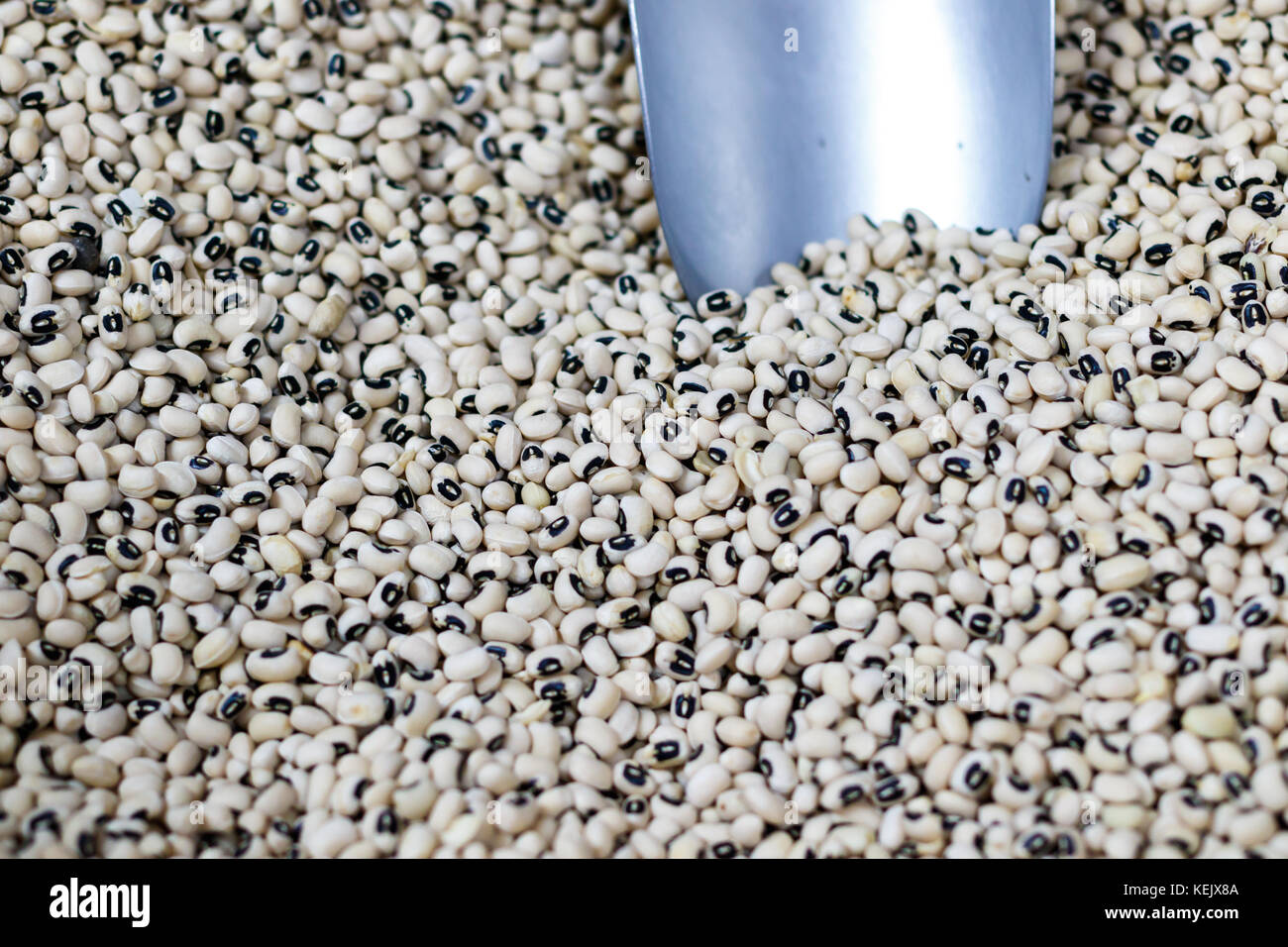 Trocken black-eyed peas an einem produzieren. Stockfoto Trocken black-eyed peas an einem produzieren. Stockfoto