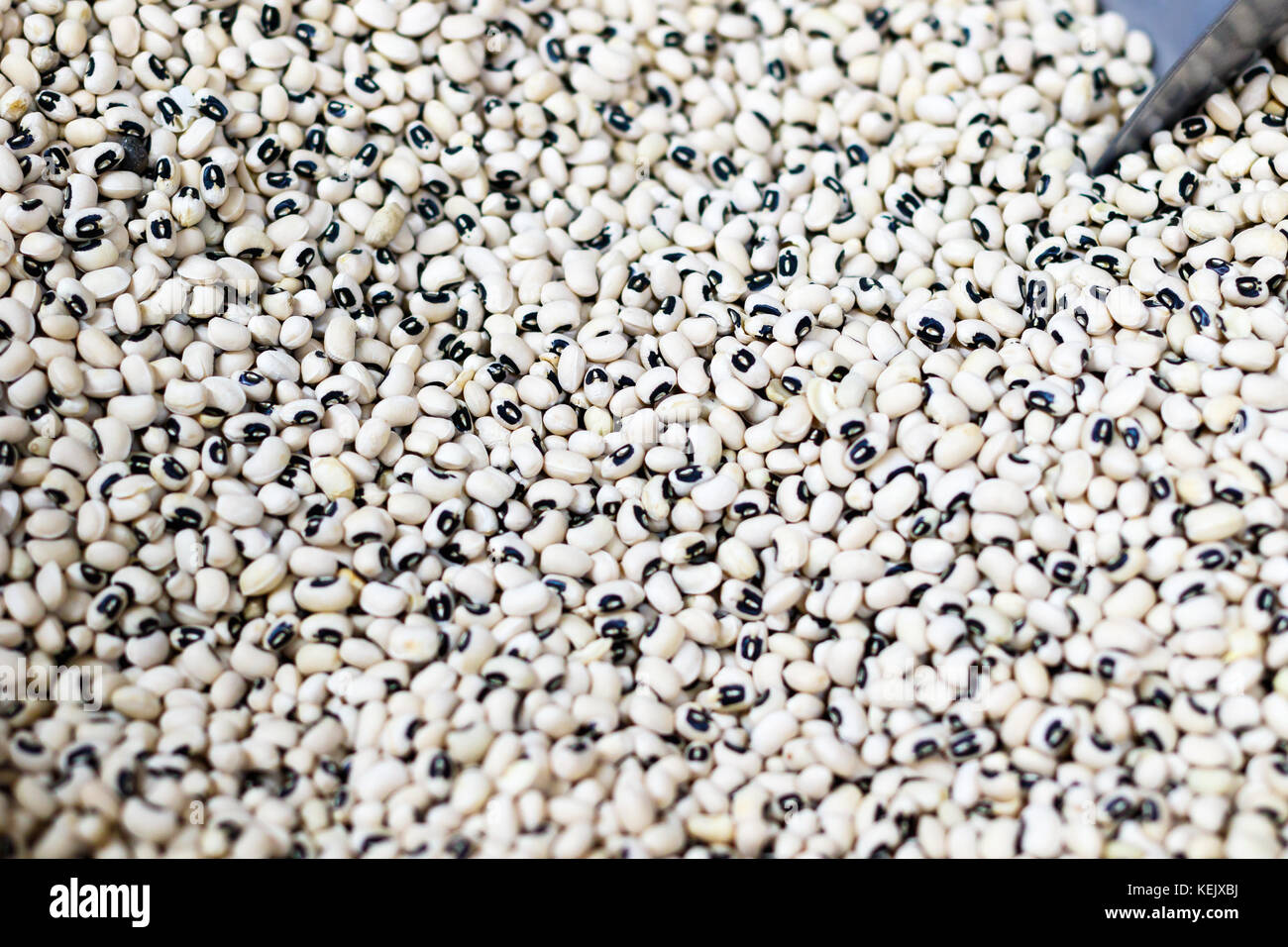 Trocken black-eyed peas an einem produzieren. Stockfoto