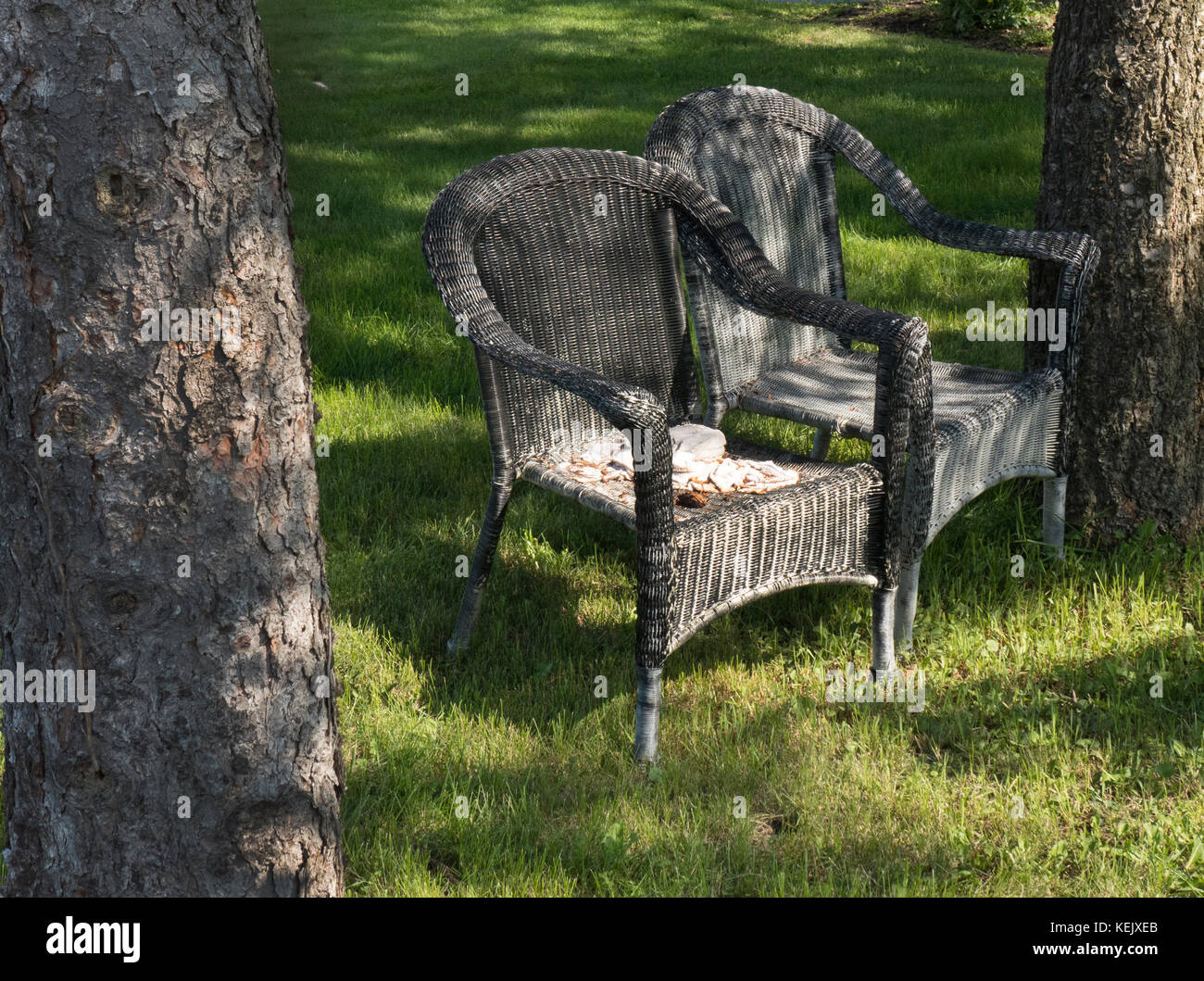 Alte rattan Sessel in Wäldern. Stockfoto