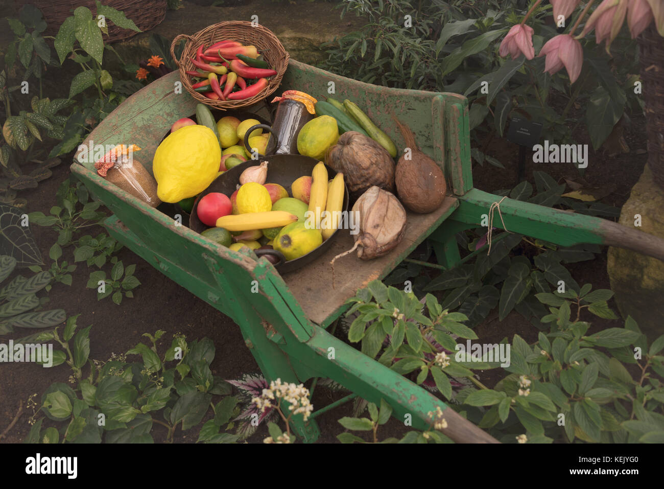Garten Grün Holz- Warenkorb mit Obst und Gemüse bei Kew botanische Gärten Stockfoto