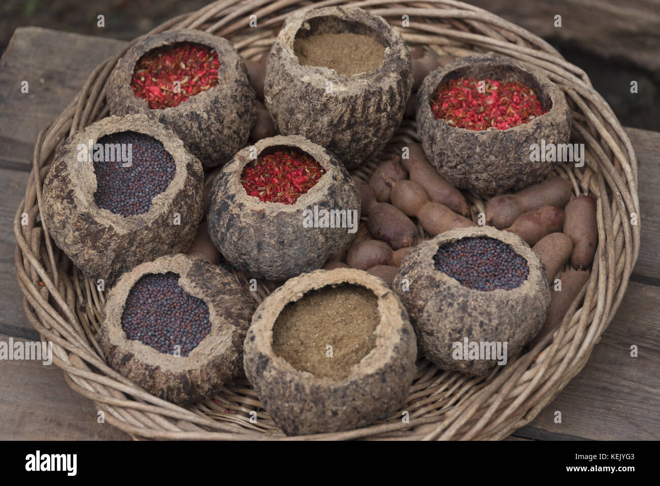 Indische Kräuter und Gewürze kochen in Coconut shell Hülsen bei Kew botanische Gärten Stockfoto