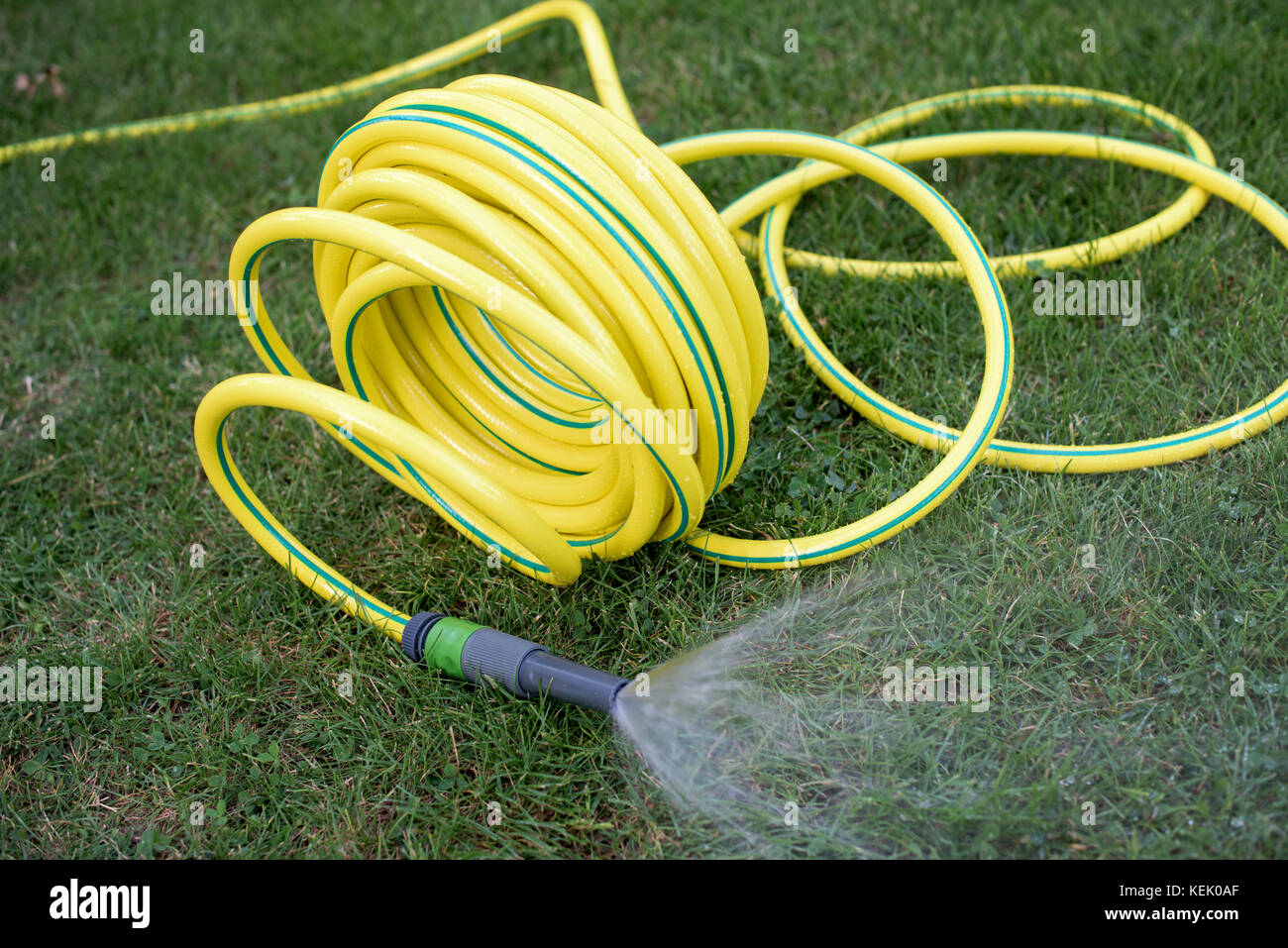 Gelb Kunststoff Schlauch im Garten Stockfoto