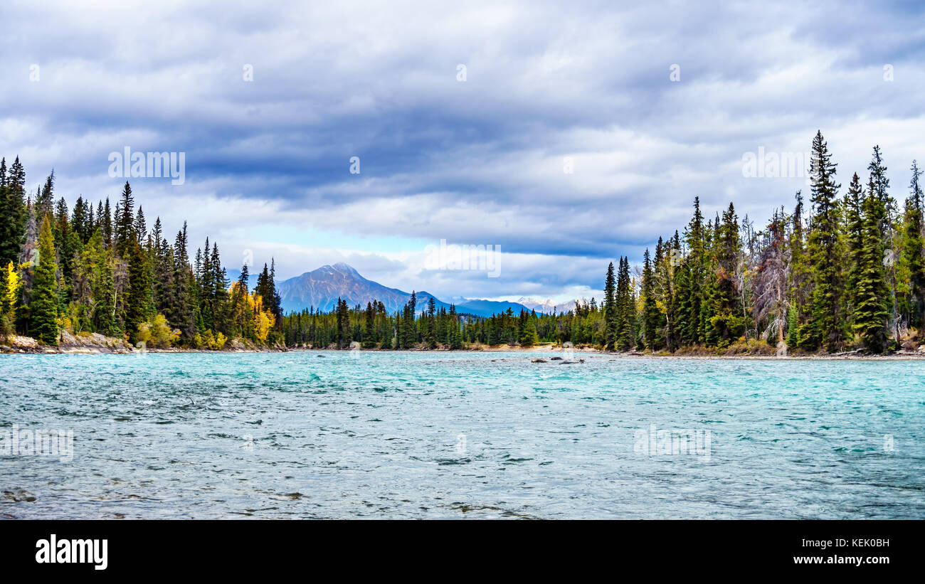 Die Sitzung der Athabasca River und der Whirlpool Fluss im Jasper Nationalpark in den Kanadischen Rocky Mountains in der Provinz Alberta Stockfoto
