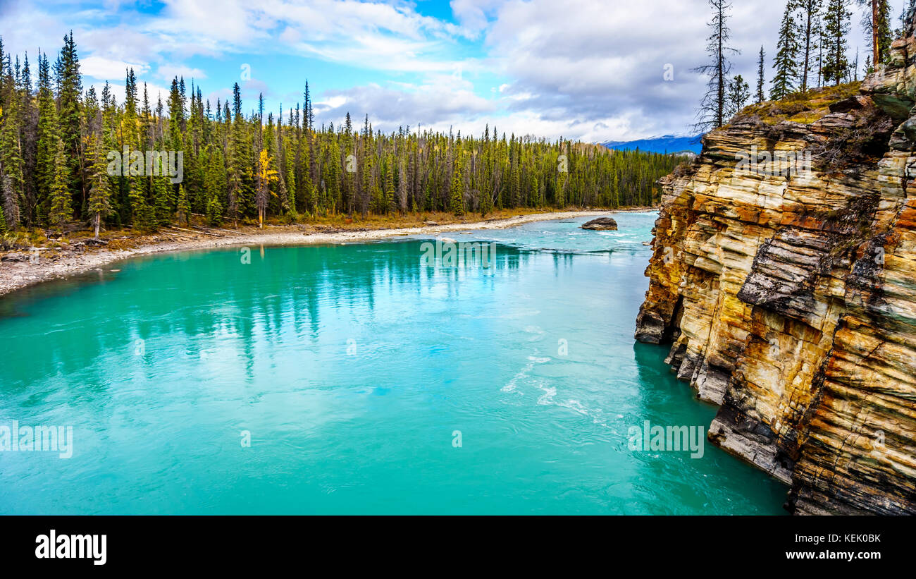 Das türkisfarbene Wasser des Athabasca River fließt von den Athabasca Falls im Jasper National Park in den kanadischen Rockies Stockfoto