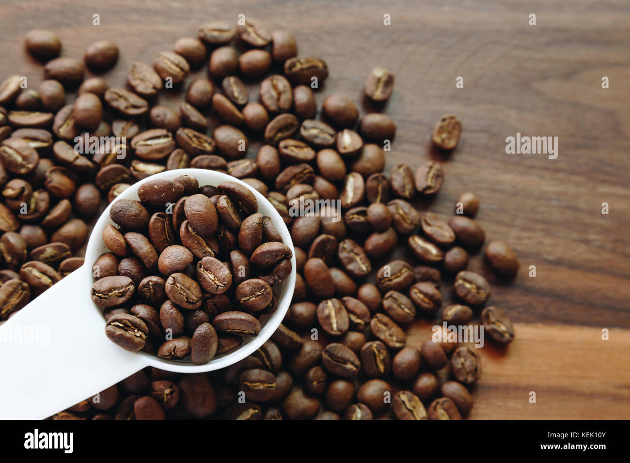Dunkel geröstete Kaffee Bohnen in den weißen Plastiklöffel auf hölzernen Hintergrund bereit, um eine Tasse Kaffee zu machen. Stockfoto