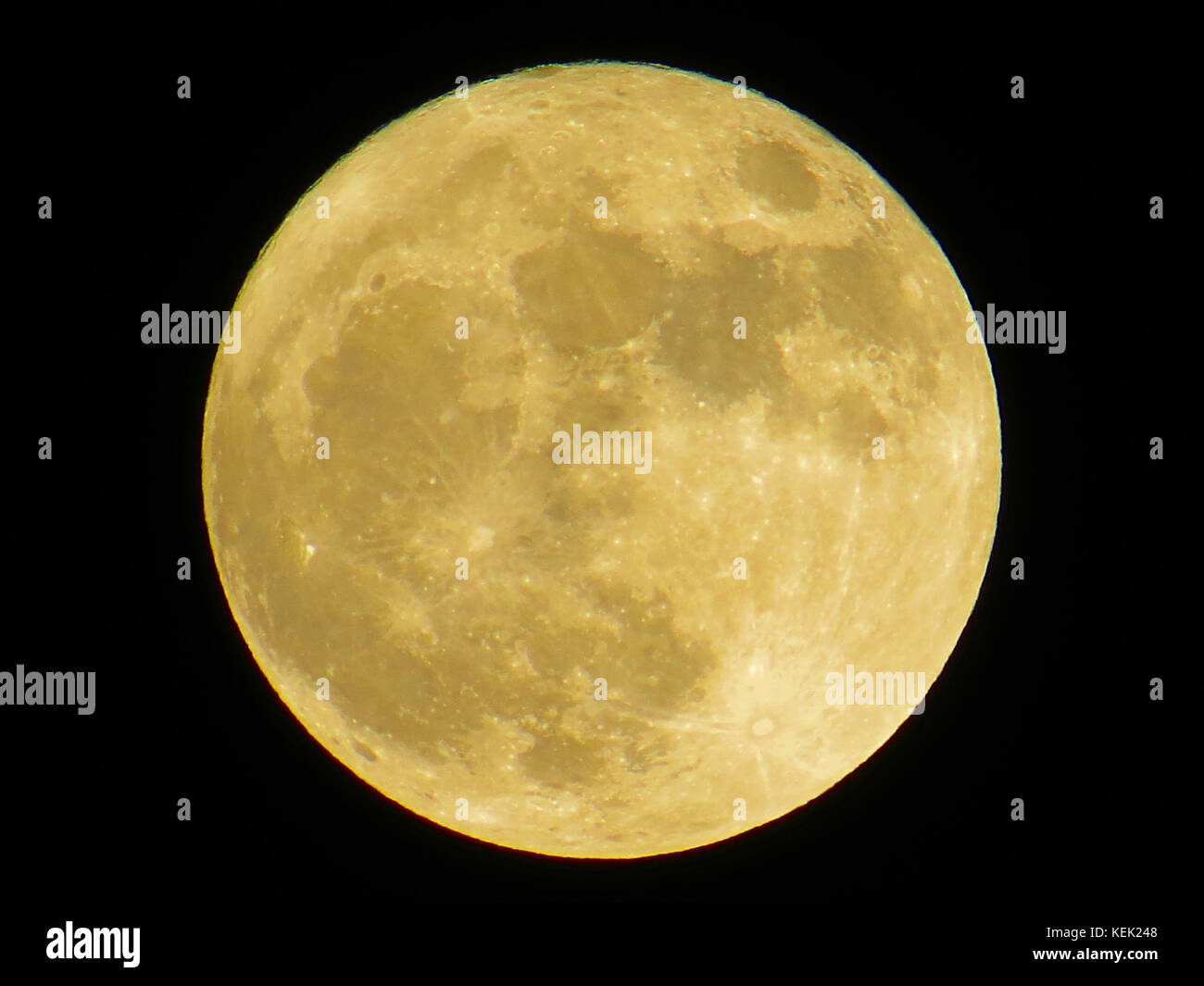 Vollmond Stockfoto