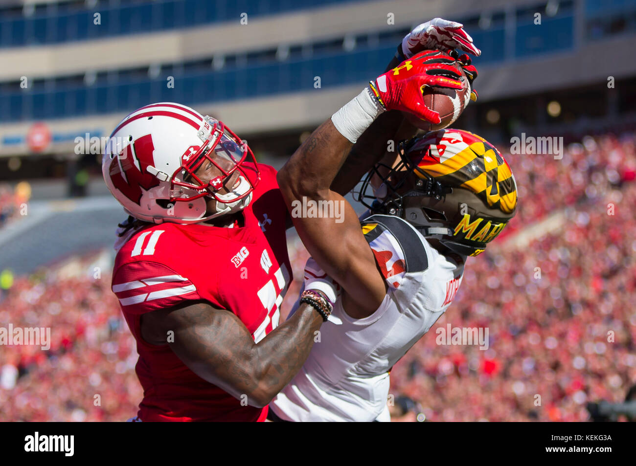 Madison, WI, USA. 21 Okt, 2017. Wisconsin Dachse cornerback Nick Nelson #11 verteidigt einen Pass zu Maryland Dosenschildkröten wide receiver D.J. Moore#1 in der Ende Zone während der NCAA Football Spiel zwischen dem Maryland Dosenschildkröten und die Wisconsin Badgers in Camp Randall Stadium in Madison, WI. Wisconsin besiegte Maryland 38-18. John Fisher/CSM/Alamy leben Nachrichten Stockfoto