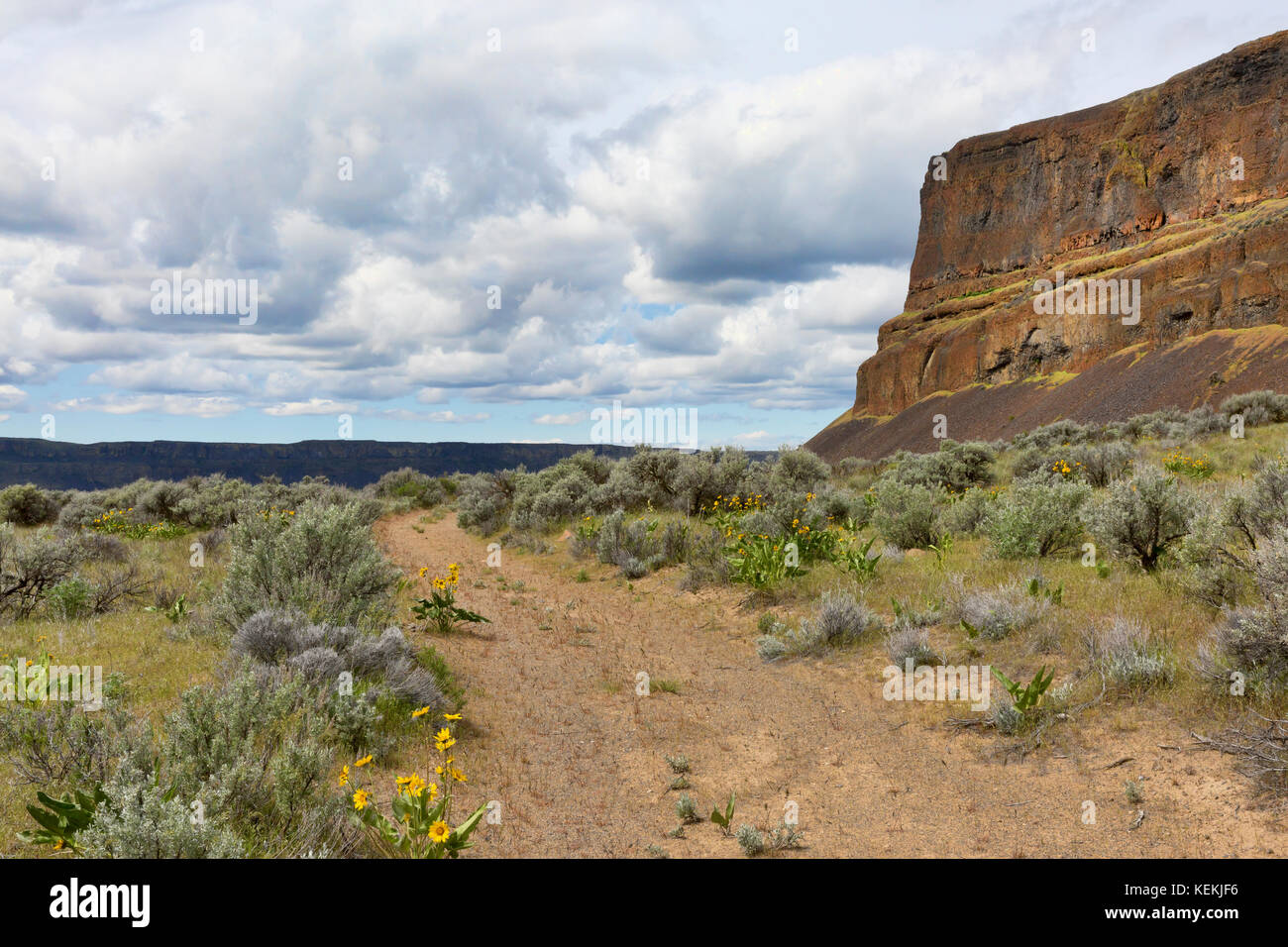 Zurück Straße, Steamboat Rock State Park Stockfoto