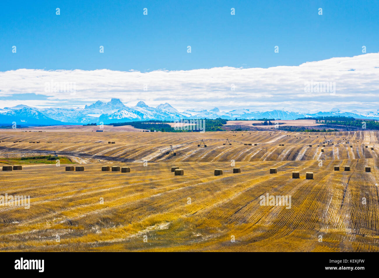 Felder und Farm land Mark die Idaho Landschaft für die Meilen mit dem imposanten Grand Teton Berge in der Ferne Horizont. Stockfoto