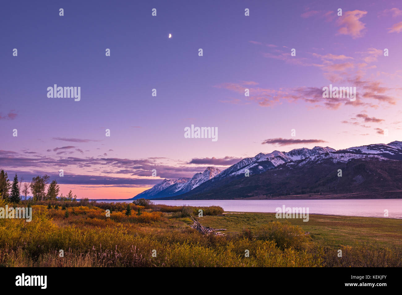 Ein pastell Himmel und der niedrigen Waxing half moon treffen die schneebedeckten Grand Teton Bergen umringt von den Wassern des massiven Jackson Lake und goldenen Herbst Stockfoto