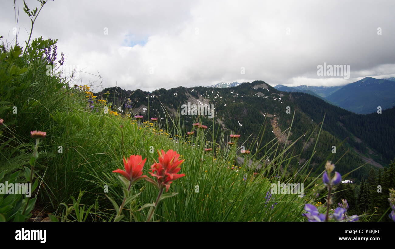 Erkunden Sie Washington State, der großen pazifischen Nordwesten Stockfoto