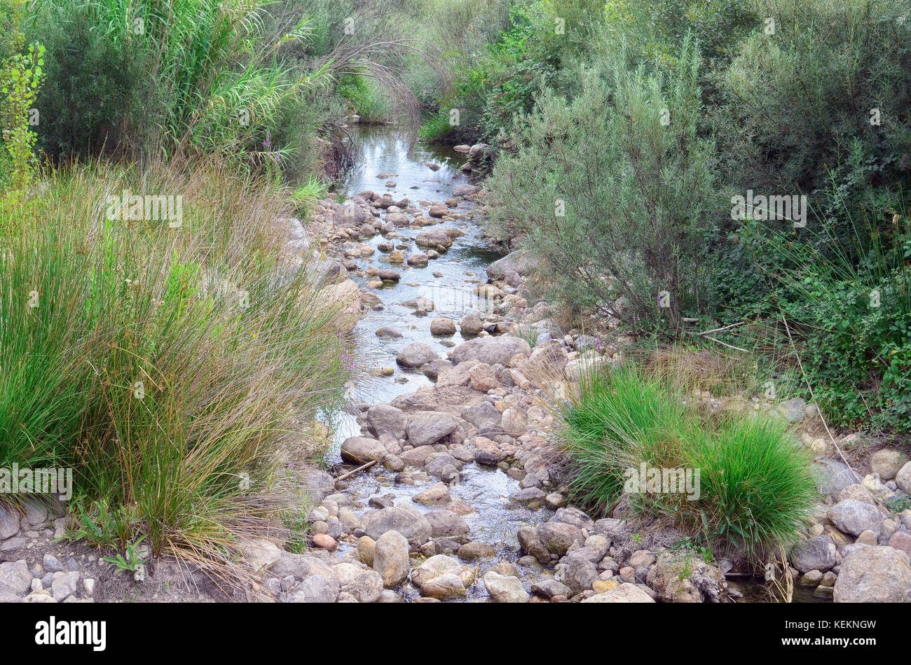 Herbstliche Szene des Flusses Maimona, in Montanejos (Castellon - Spanien). Wunderschönes, klares Wasser. Natürliche grüne Umgebung Landschaft. Ruhig und bedeckt Stockfoto