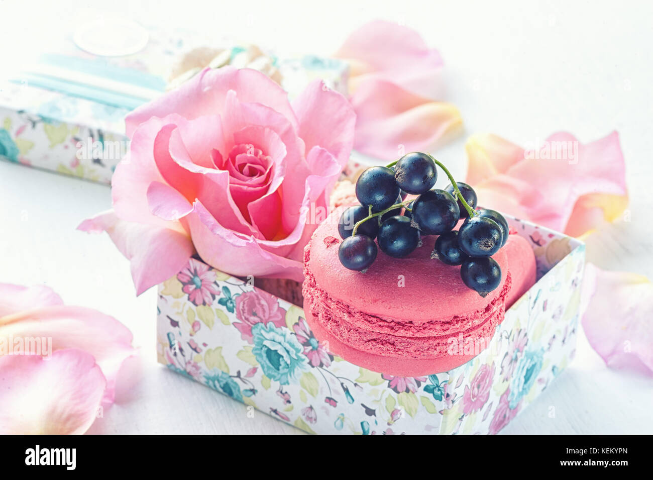 Macarons mit Schwarze Johannisbeere in einer Geschenkbox auf dem Hintergrund der schönen Blumen Rosen. Nachtisch Nahaufnahme. Die horizontalen Rahmen. Stockfoto