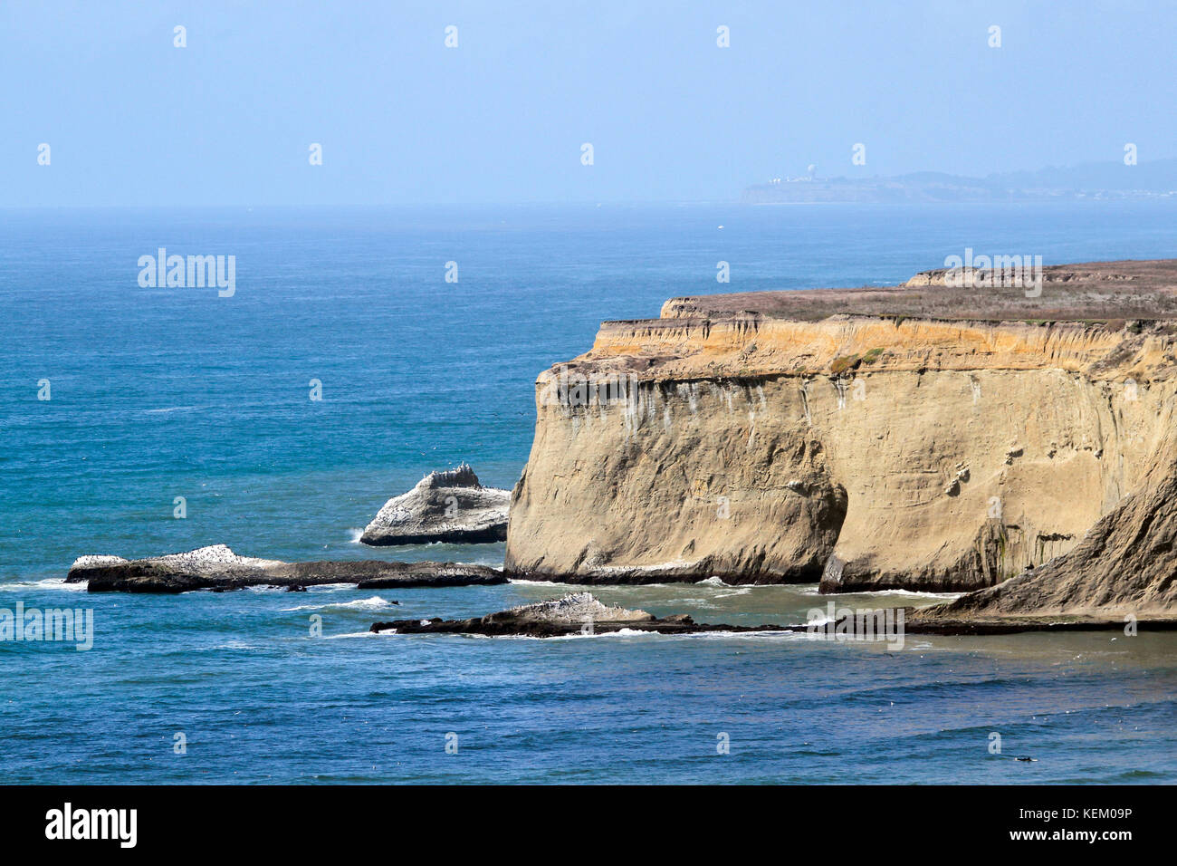 Klippen, Half Moon Bay, Kalifornien, USA, Nordamerika Stockfoto