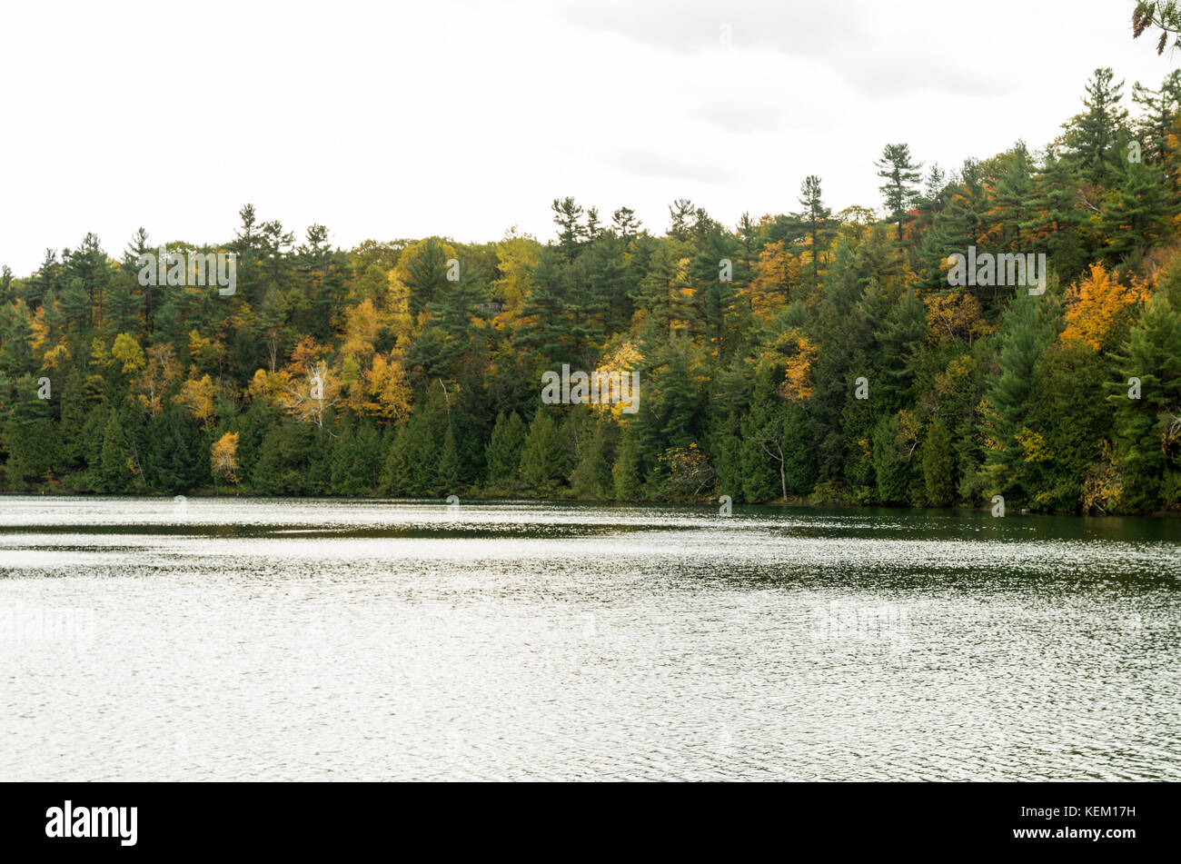 Rosa See ist meromictic, was bedeutet, dass die oberen und unteren Schichten von Wasser niemals mischen. Normalerweise ist ein See Wasser Schichten Mischung jedes Jahr komplett während des Th Stockfoto