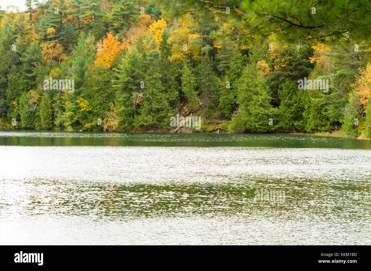 Rosa See ist meromictic, was bedeutet, dass die oberen und unteren Schichten von Wasser niemals mischen. Normalerweise ist ein See Wasser Schichten Mischung jedes Jahr komplett während des Th Stockfoto