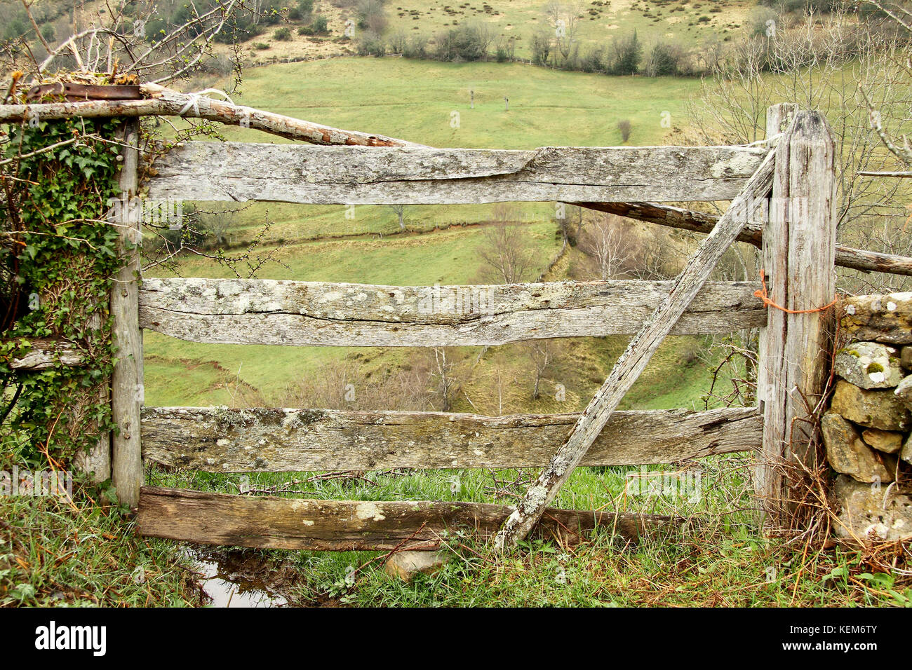 Zaun Holztür in einer Wiese in Asturien, Spanien Stockfoto