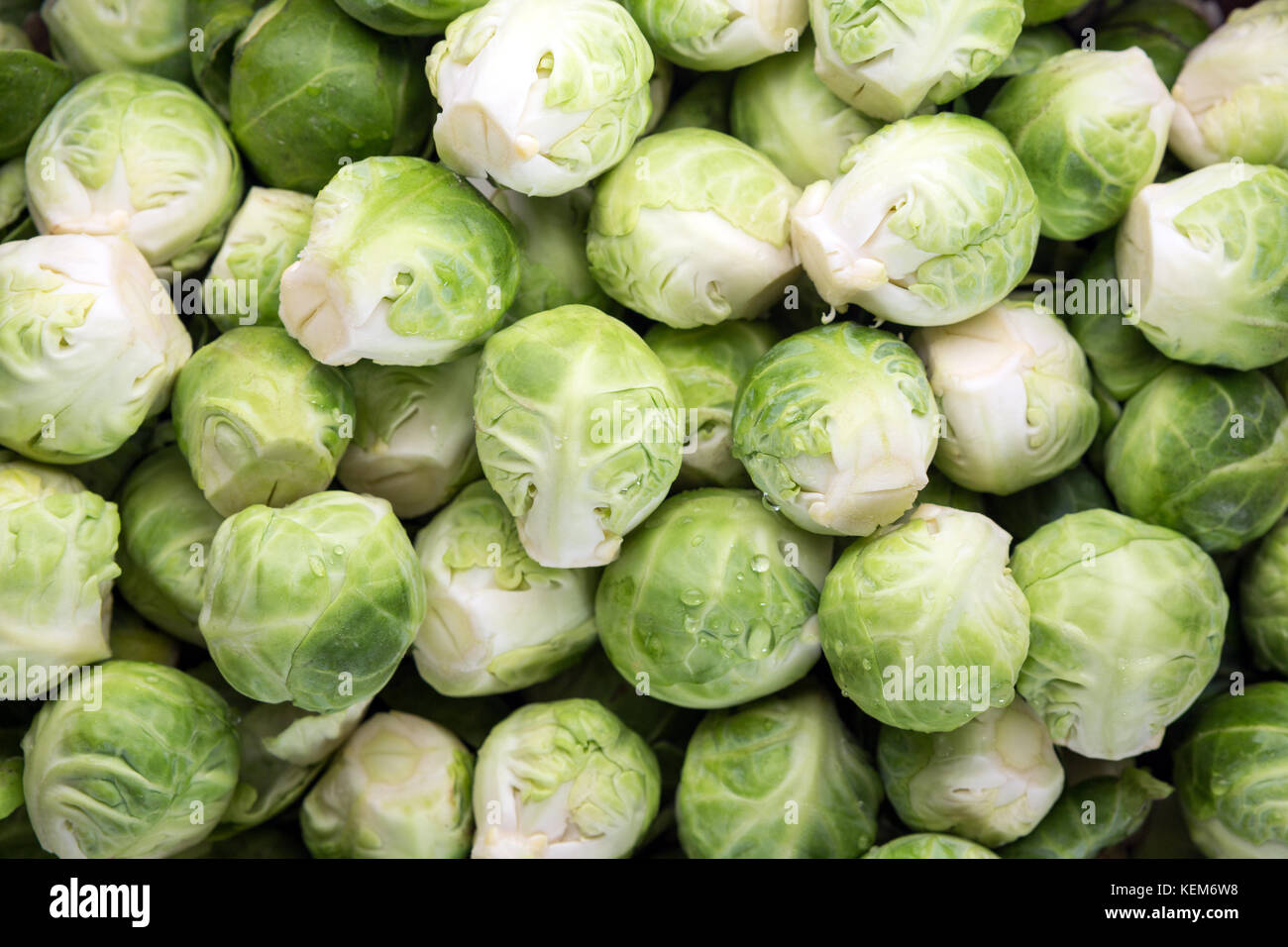 Blick von oben auf einem Stapel von geschälten und wusch Rosenkohl. Stockfoto