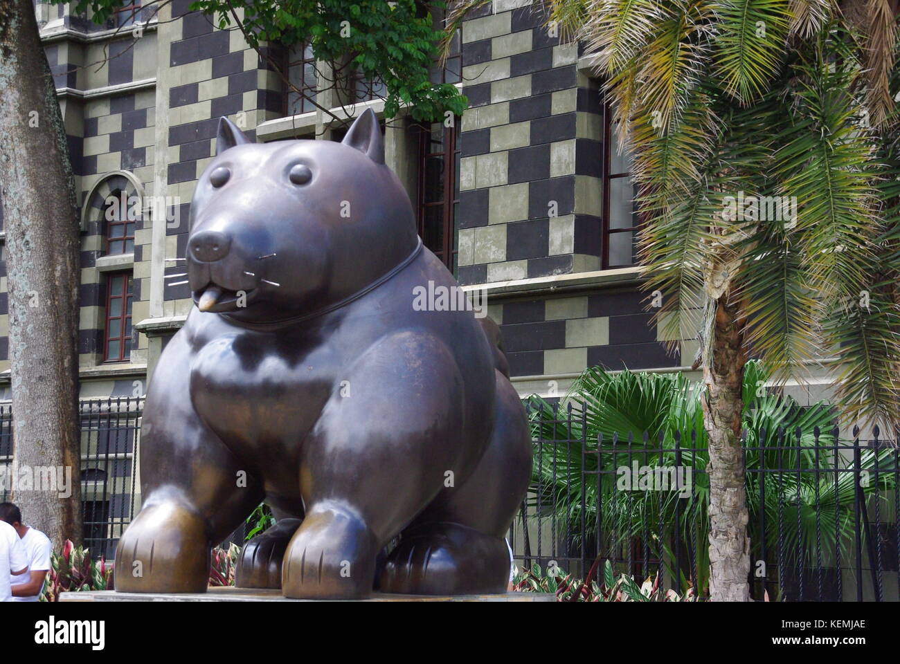 Hund Skulptur von Botero, Medellin, Kolumbien Stockfoto