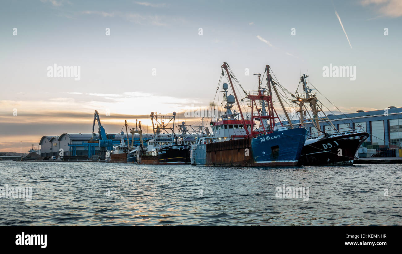 Eine Flotte von fischtrawlern liegt auf einer Werft in shoreham Hafen. Es ist früh am Morgen, nicht lange nach der Dämmerung Stockfoto