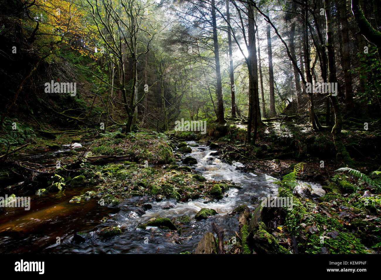 Gore Wasser, in der Nähe von Borthwick Castle, wo Maria, Königin von Schottland übernachtet, Midlothian, Schottland im Herbst Stockfoto