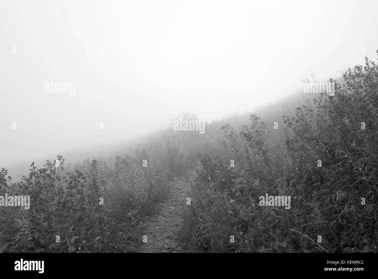 Ein Pfad auf einem Berghang, schließlich verloren in der Cloud (schwarz und weiß) Stockfoto