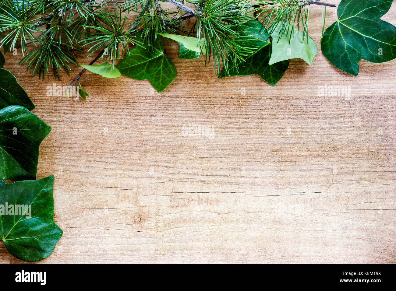 Grenze von Efeu Bltter und Zweige Tannenbaum abstrakte Holz- Hintergrund.  topw ansehen und kopieren Raum Stockfotografie - Alamy