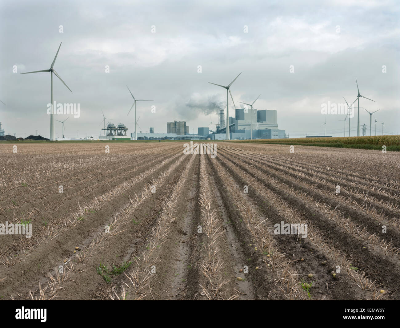 Kraftwerke und Windkraftanlagen hinter Feld bei Eemshaven im Norden von Groningen in den Niederlanden Stockfoto