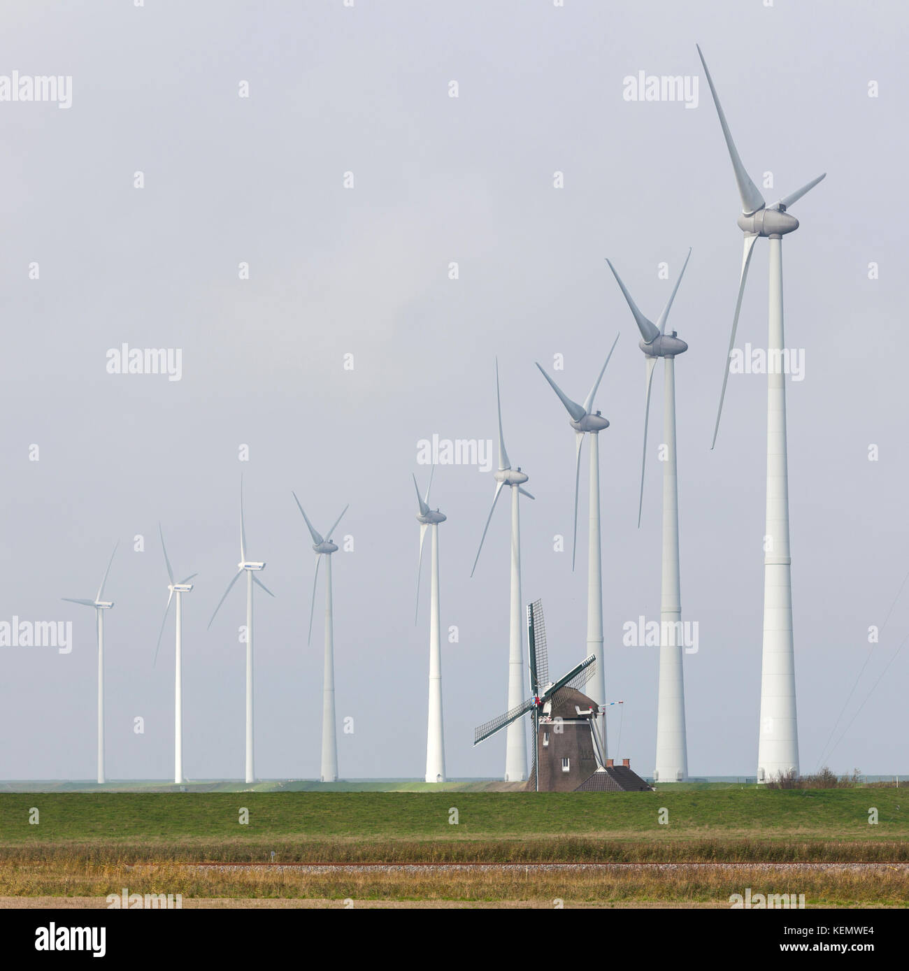 Traditionelle alte holländische Windmühle Goliath und Windkraftanlagen in der Nähe von Eemshaven in der Provinz Groningen in den Niederlanden Stockfoto