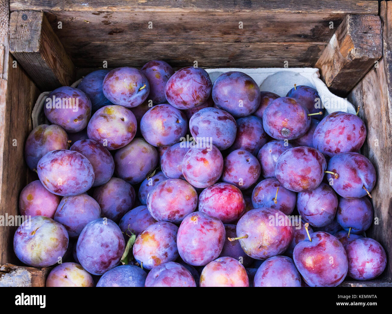 Bündel von saftig Lecker lila Pflaumen Prunus domestica in einem braunen Holz- Box auf den Markt. Reife Pflaumen in einer Box. Anzeigen von frischem Bio-Obst für Obst Stockfoto