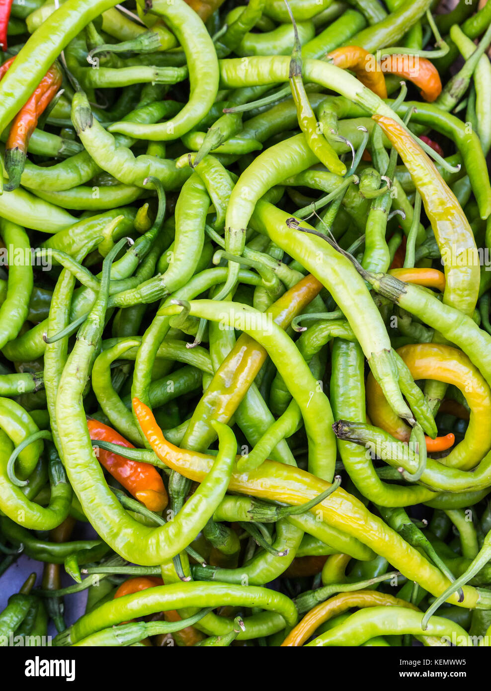 Stapel der Grünen spicy hot chili peppers in einer Box auf dem Markt Stockfoto