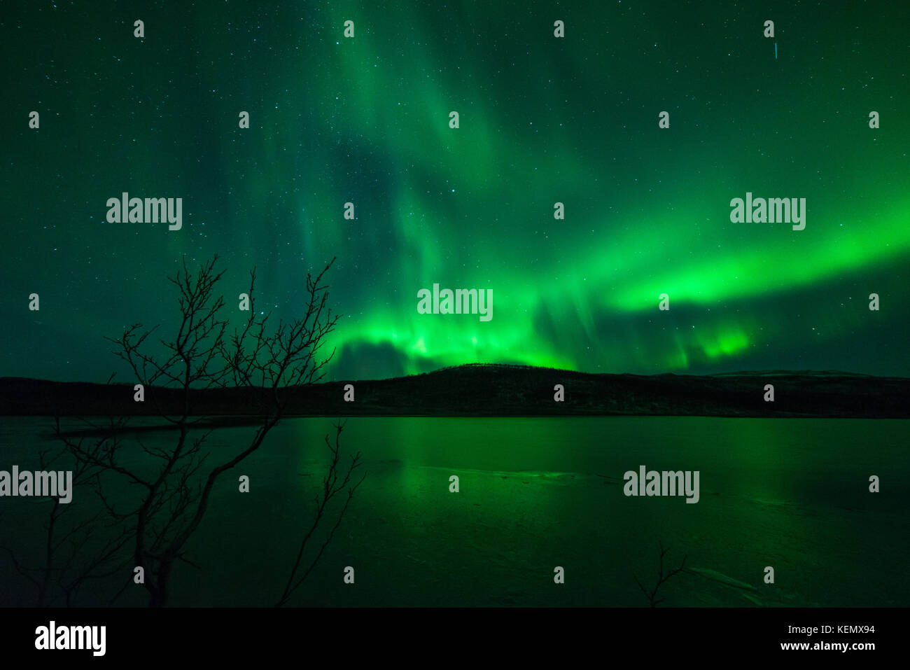 Nordlicht über einem See Stockfoto