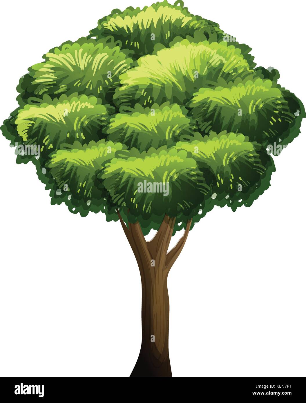 Eine animierte Baum flashcard für Lehre Stock Vektor