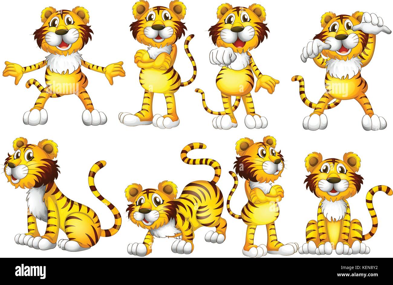 Abbildung: Eine Gruppe von Tiger Stock Vektor