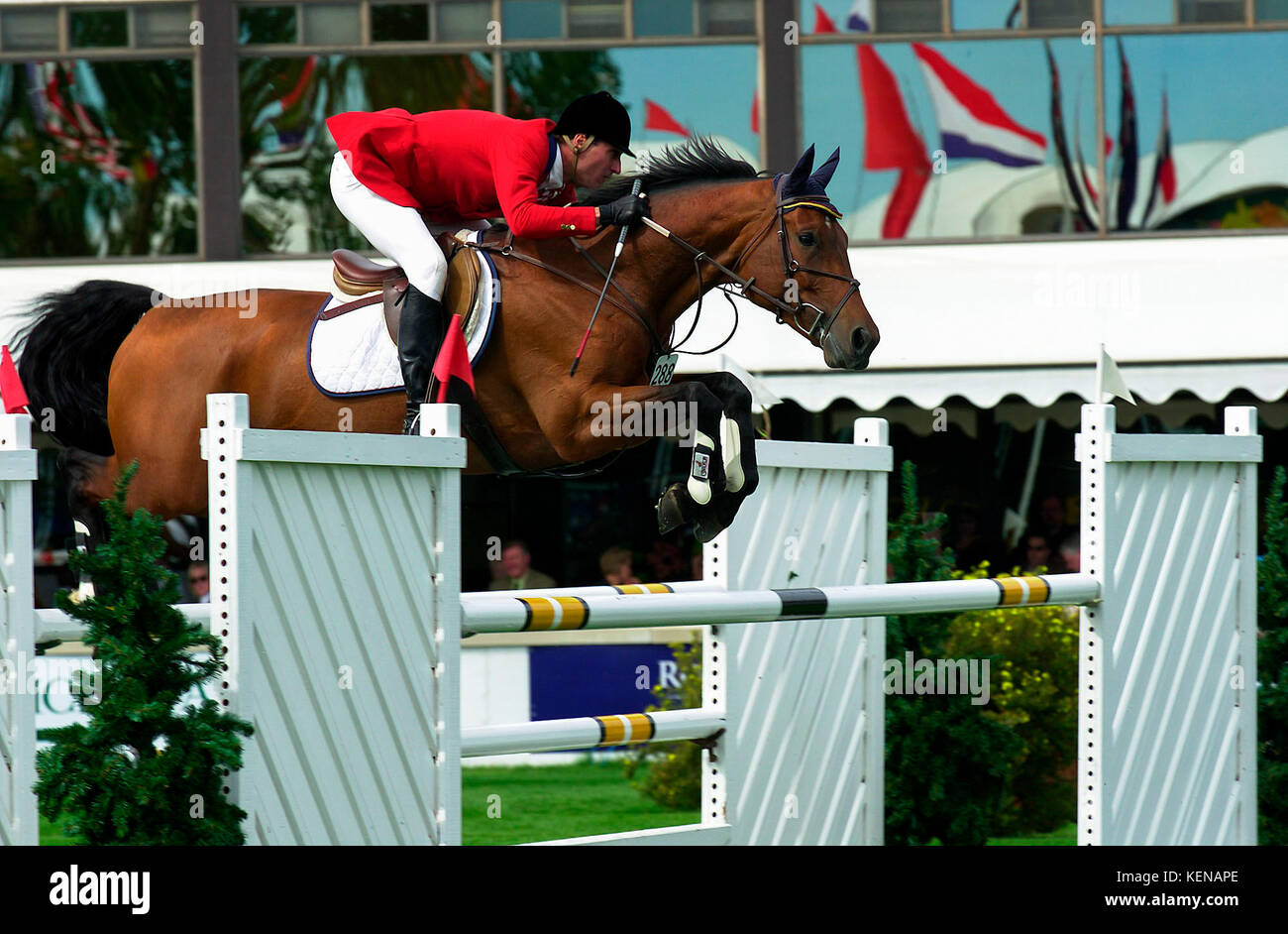 CSIO, Spruce Meadows, 2000, John Anderson von Kanada reiten Nesbitt Burns Superman Stockfoto