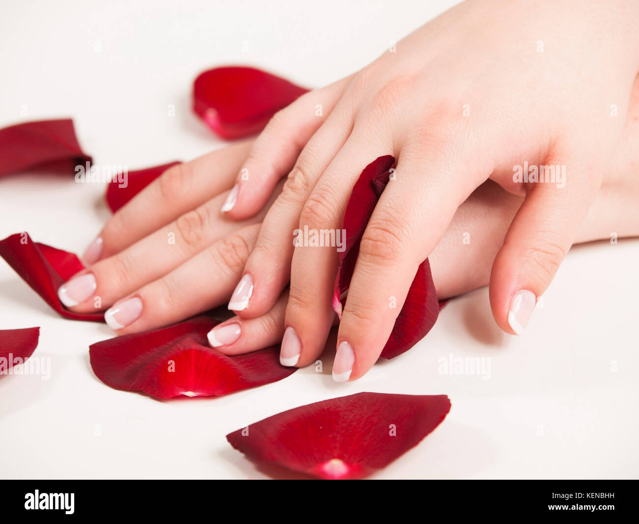 Womans hand mit French Maniküre halten rose Blumenblätter Stockfoto