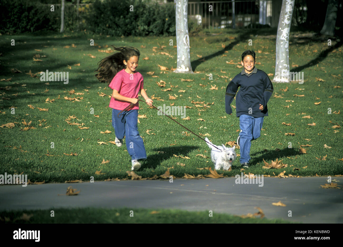 Kindheit Jugendliche person Junge Mädchen laufen Park Leine sorglos gemächlich Freiheit freudigen Hund freudig Genießen Sommer vorne © Myrleen Pearson Stockfoto