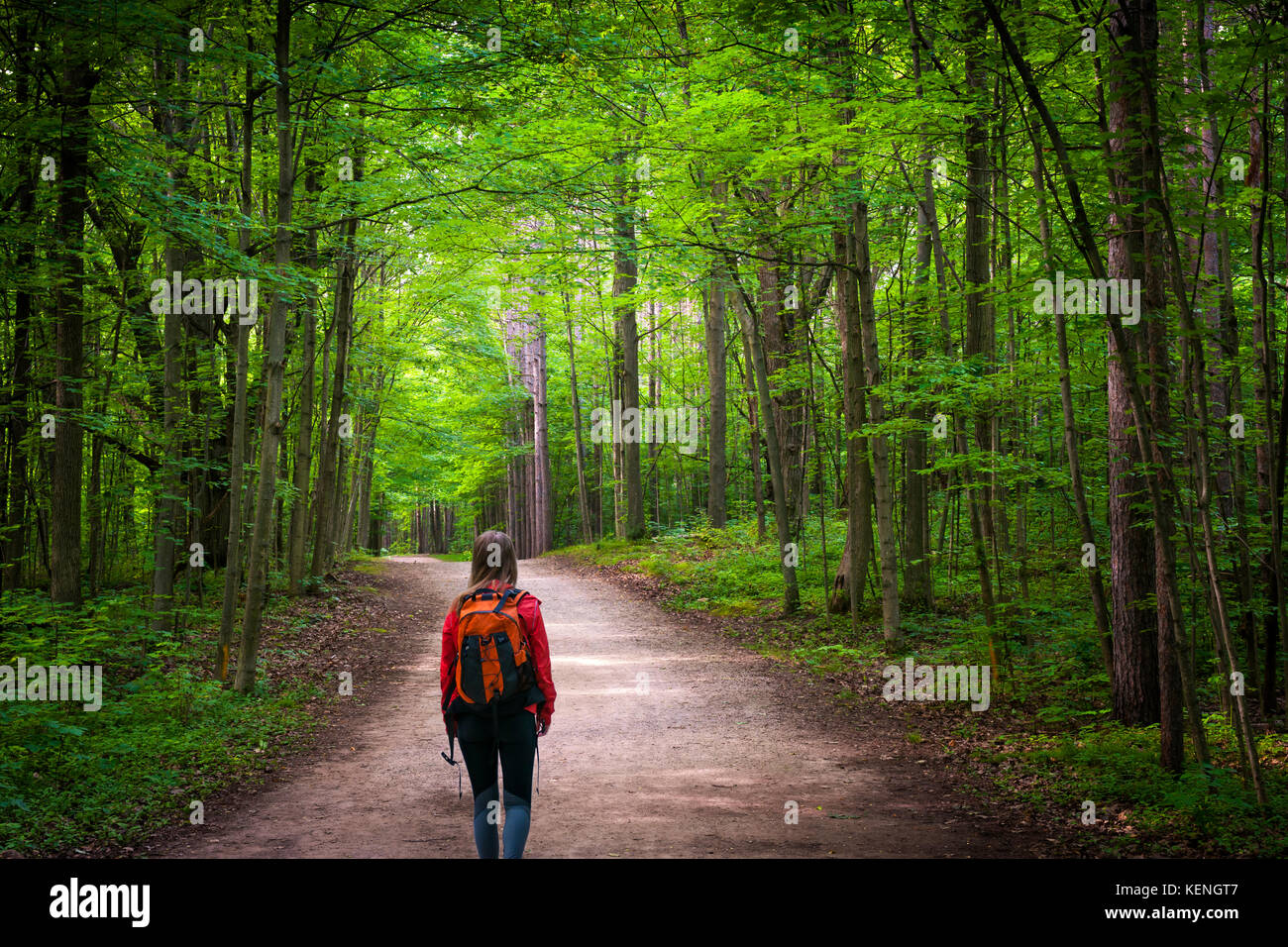 Junge Frau Wanderer mit Rucksack zu Fuß auf Wanderweg in grün sommer wald. Hilton fällt Conservation Area, Ontario, Kanada. Stockfoto