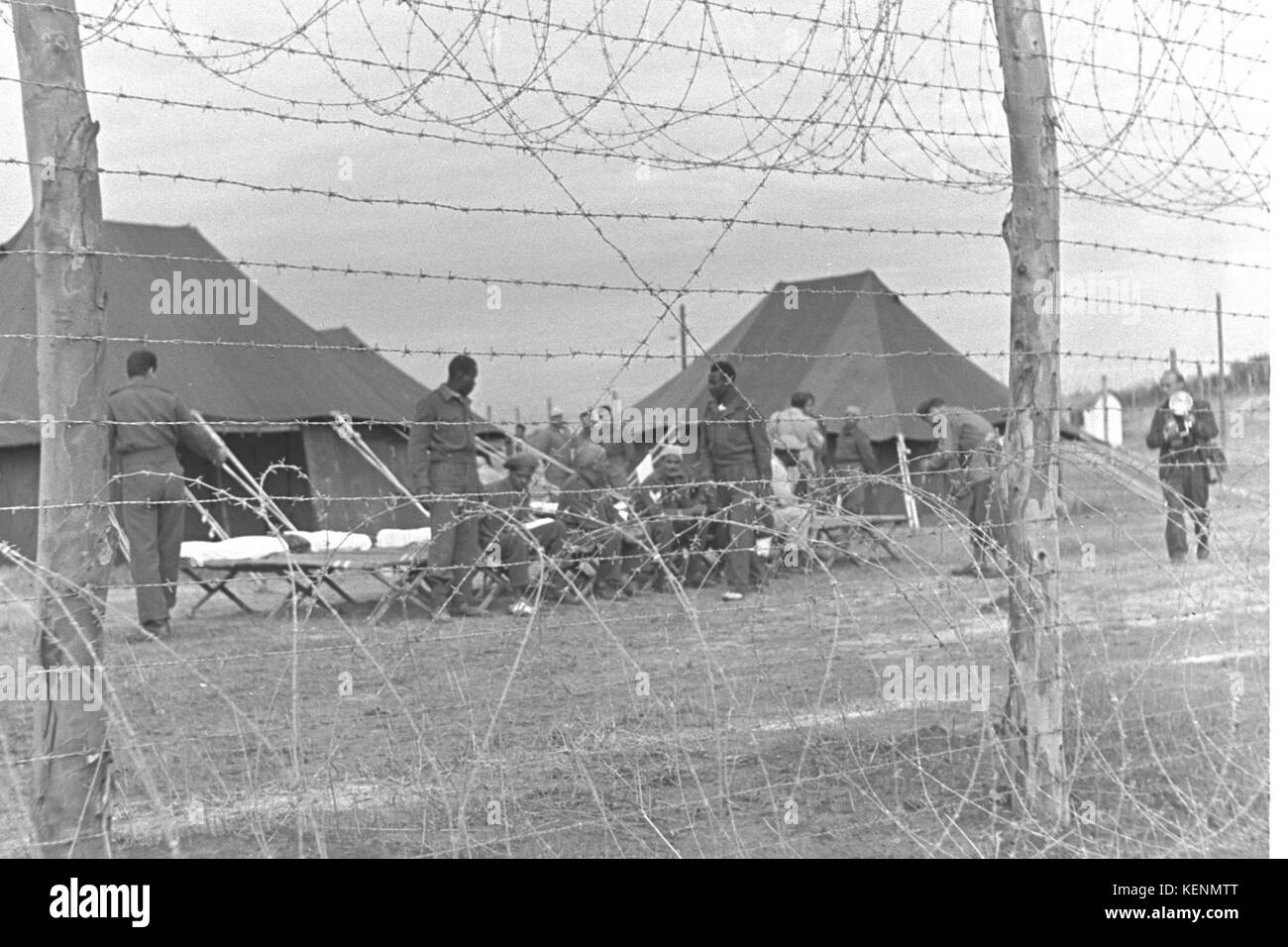 Ägypter Kriegsgefangenen, Suez Krise Stockfoto