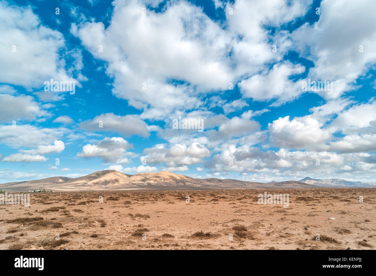 Blick auf die Landschaft in der Nähe von El Cotillo, Fuerteventura, Kanarische Inseln, Spanien Stockfoto
