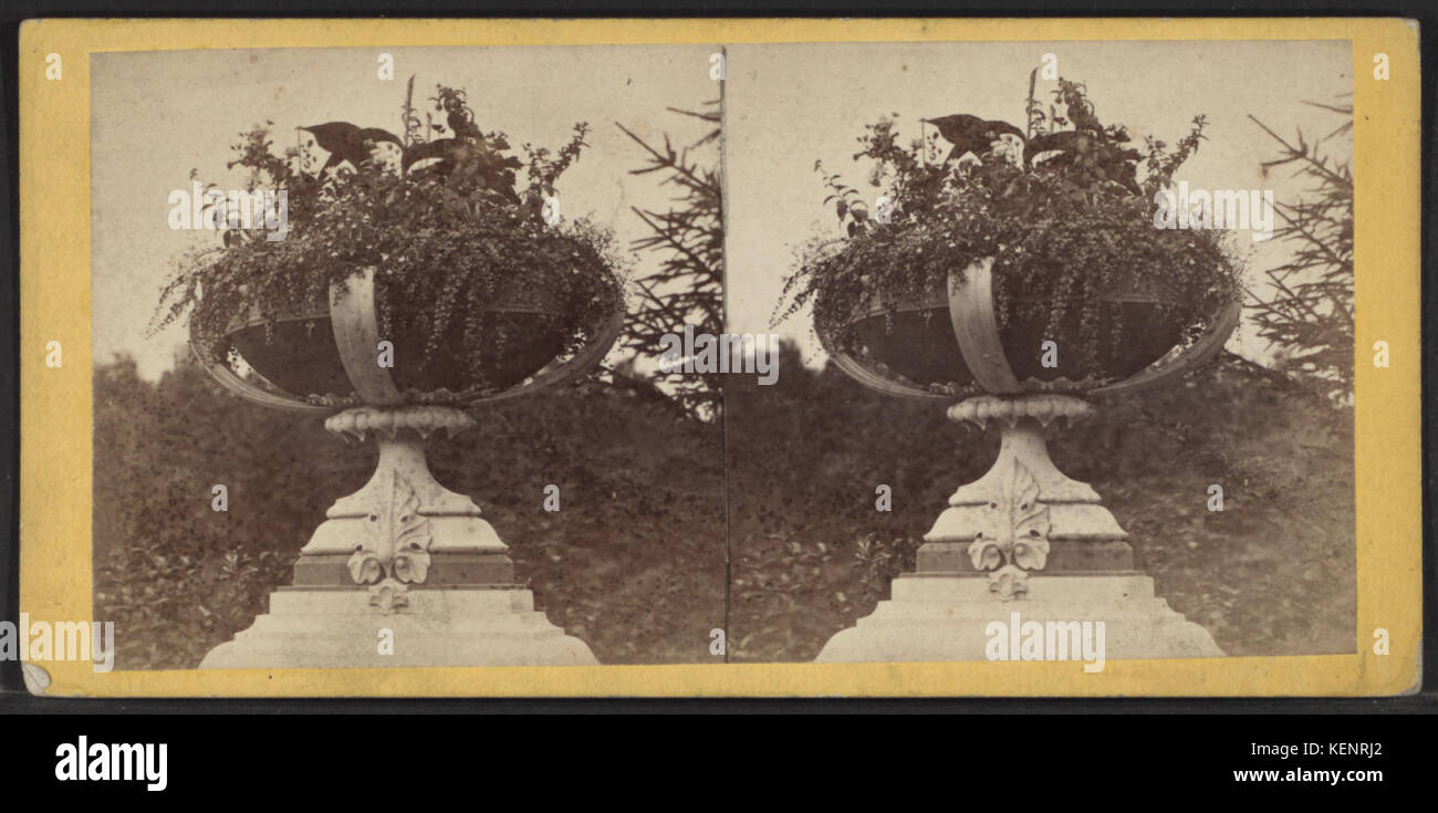 Vase mit Blumen auf die rustikale Brücke von E. & h.t. Anthony (Firm) Stockfoto