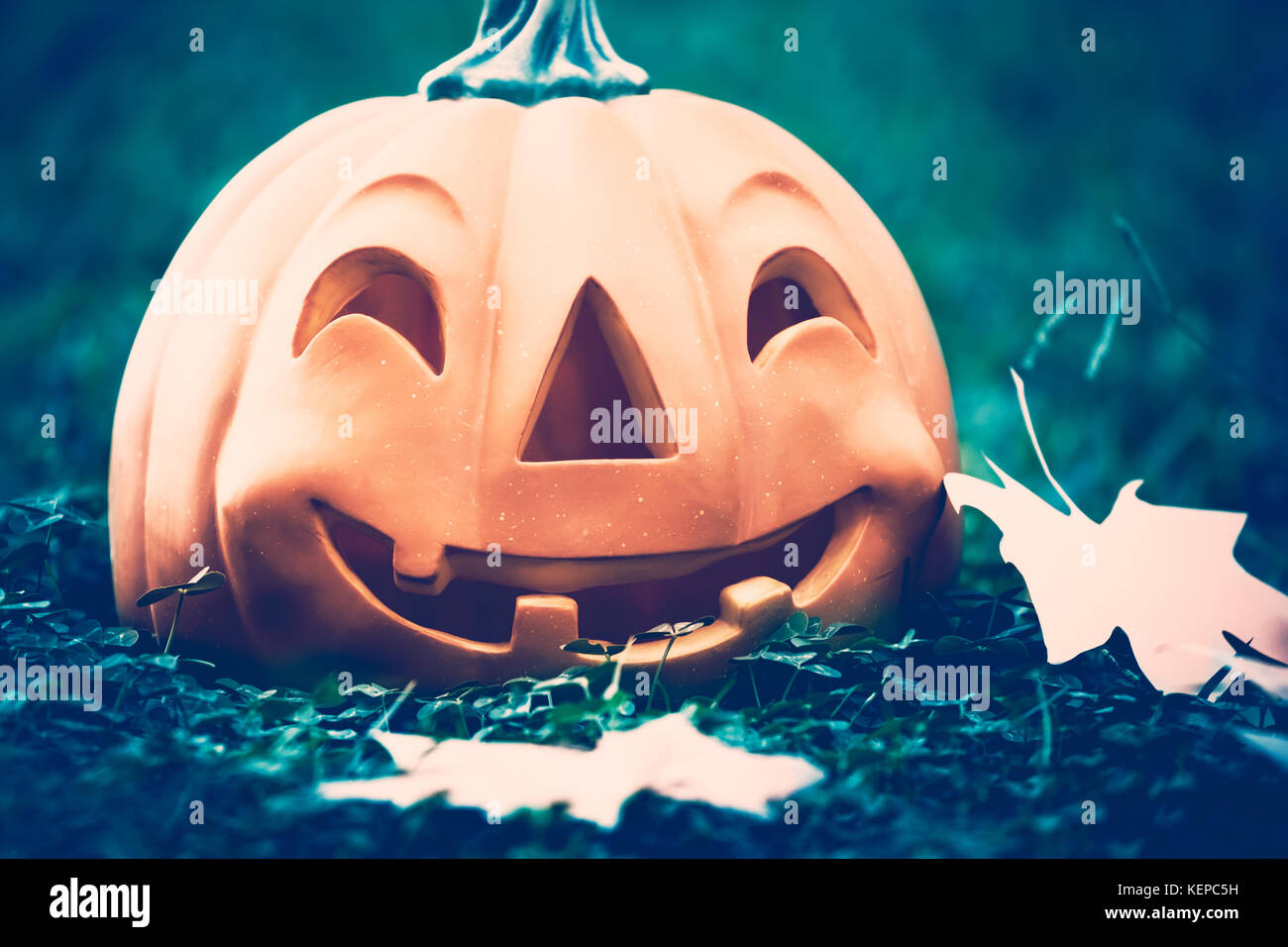 Nahaufnahme eines geschnitzten Kürbis mit glücklichen Gesicht im dunklen Wald an Halloween Nacht, traditionelle Herbstferien, vintage Stockfoto