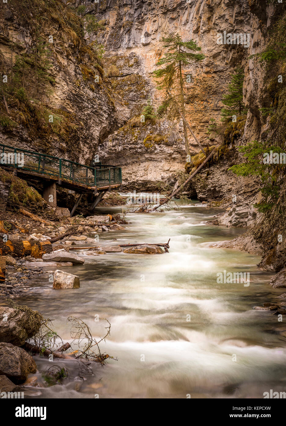 Johnston Canyon in den Bow Valley Parkway entfernt. Stockfoto