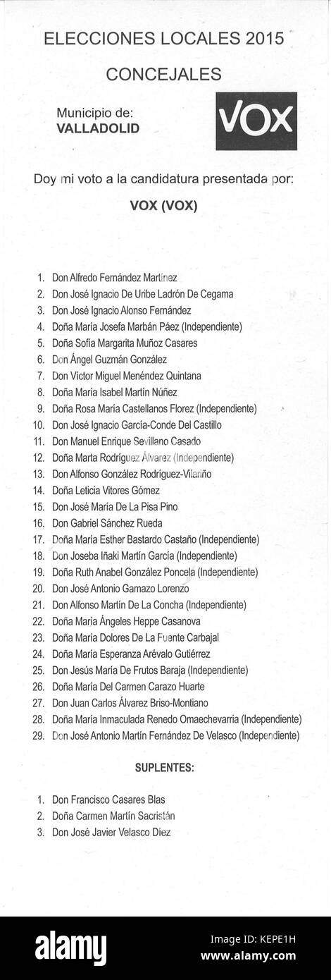 VOX Elecciones locales 2015 Valladolid Stockfoto