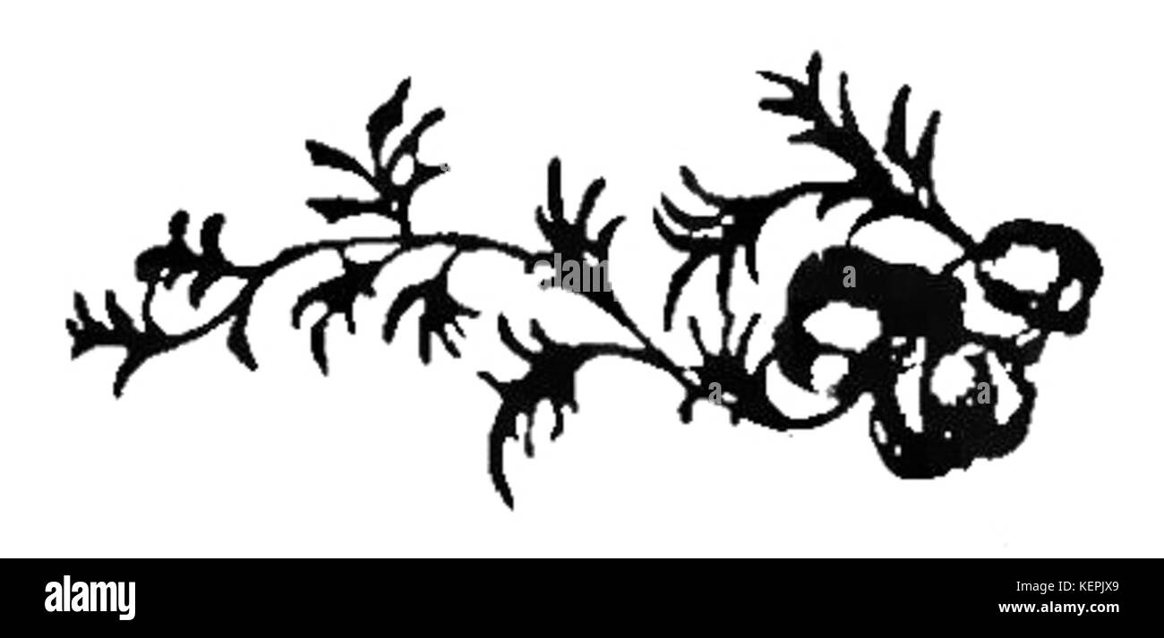 100 potraw z jaj Seite 003 Stockfoto